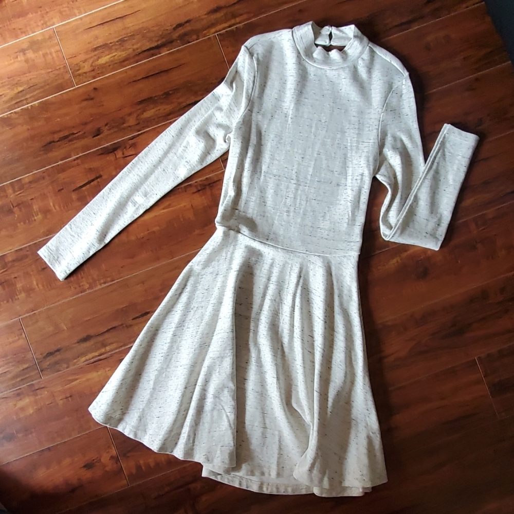 American Apparel Skater Dress